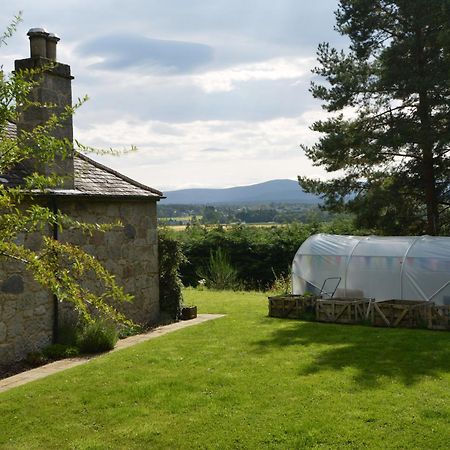Amazing Cottage With Private Indoor Swim Pool And Hot Tub Grantown-on-Spey Exterior photo