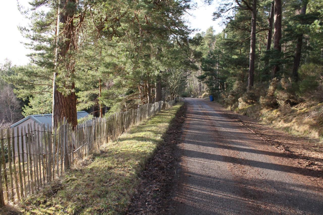 Amazing Cottage With Private Indoor Swim Pool And Hot Tub Grantown-on-Spey Exterior photo
