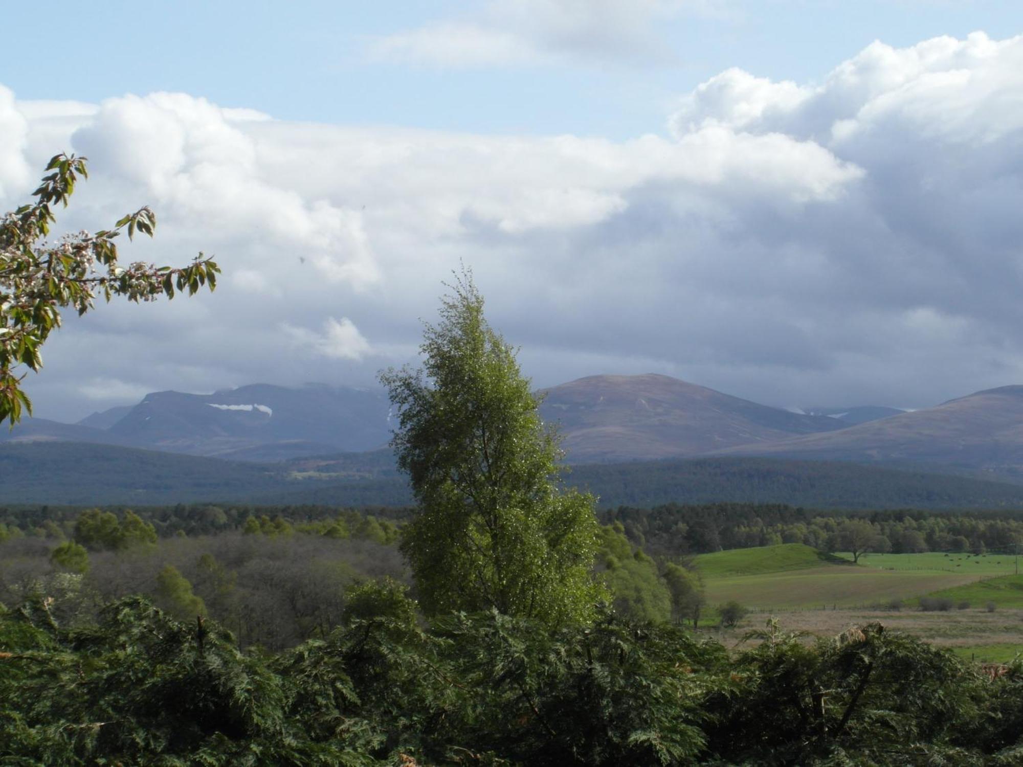 Amazing Cottage With Private Indoor Swim Pool And Hot Tub Grantown-on-Spey Exterior photo